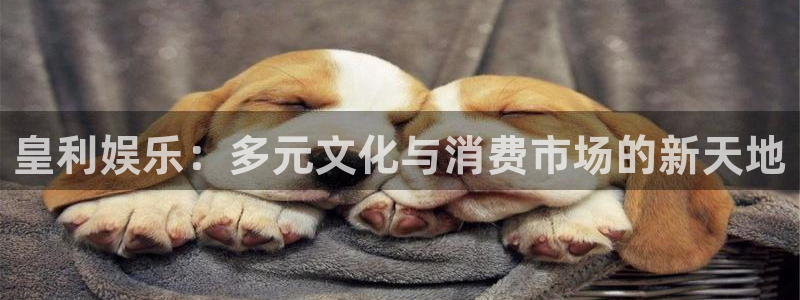 开丰娱乐是赌博吗：皇利娱乐：多元文化与消费市场的新天地