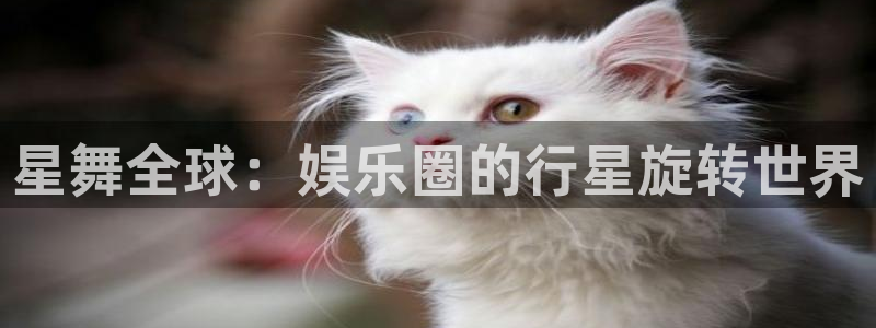 开丰娱乐游戏有哪些好玩的：星舞全球：娱乐圈的行星旋转世界