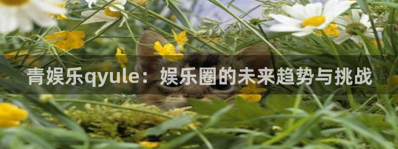 开丰娱乐kgame：青娱乐qyule：娱乐圈的未来趋势与挑战