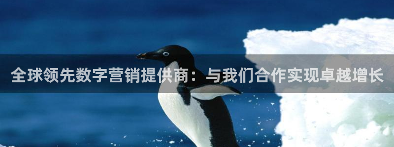 开丰娱乐下载：全球领先数字营销提供商：与我们合作实现卓越增长