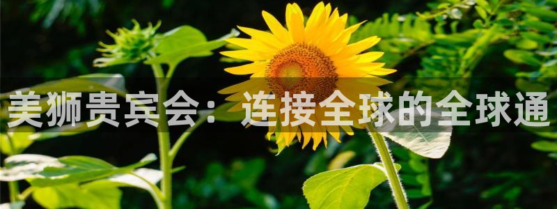 开丰娱乐体育：美狮贵宾会：连接全球的全球通