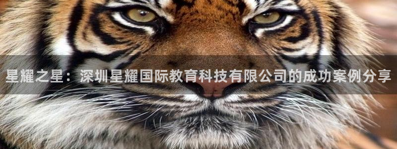 开丰娱乐体育凯捷代理注册：星耀之星：深圳星耀国际教育科技有限公司的成功案例分享
