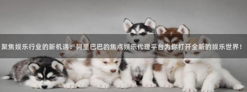 开丰娱乐加拿大app预测：聚焦娱乐行业的新机遇：阿里巴巴的焦点娱乐代理平台为你打开全新的娱乐世界！