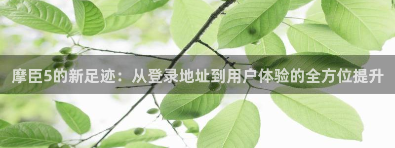 开丰娱乐4平台：摩臣5的新足迹：从登录地址到用户体验的全方位提升