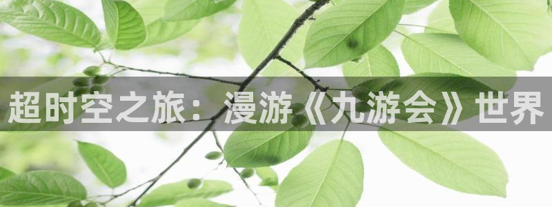 开丰娱乐官网：超时空之旅：漫游《九游会》世界