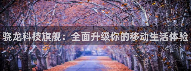 开丰娱乐加拿大：骁龙科技旗舰：全面升级你的移动生活体验