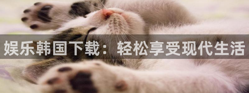 开丰娱乐体育凯捷平台招商：娱乐韩国下载：轻松享受现代生活