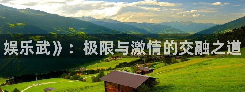 开丰娱乐集团股票：娱乐武》：极限与激情的交融之道