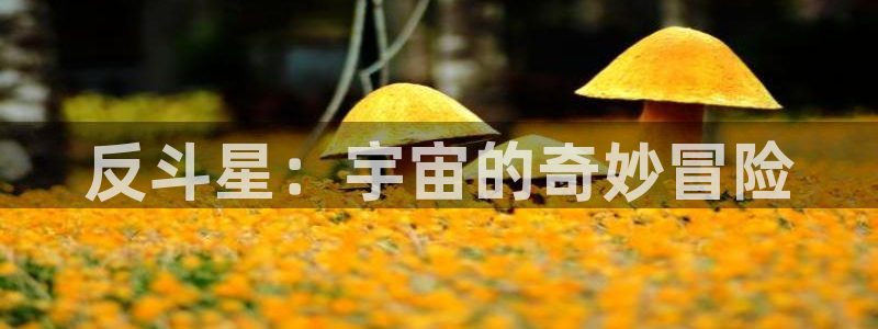 开丰娱乐哪个游戏好爆：反斗星：宇宙的奇妙冒险