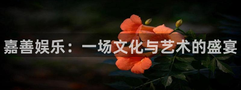 开丰娱乐官方网站：嘉善娱乐：一场文化与艺术的盛宴