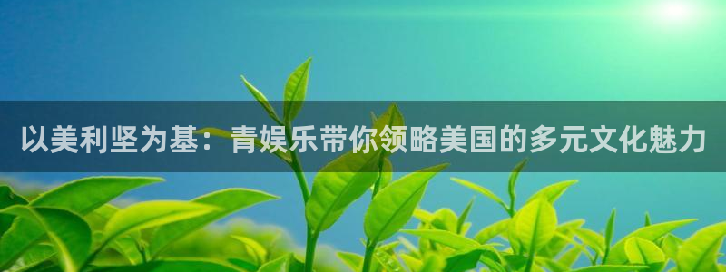 开丰娱乐体育注册平台：以美利坚为基：青娱乐带你领略美国的多元文化魅力