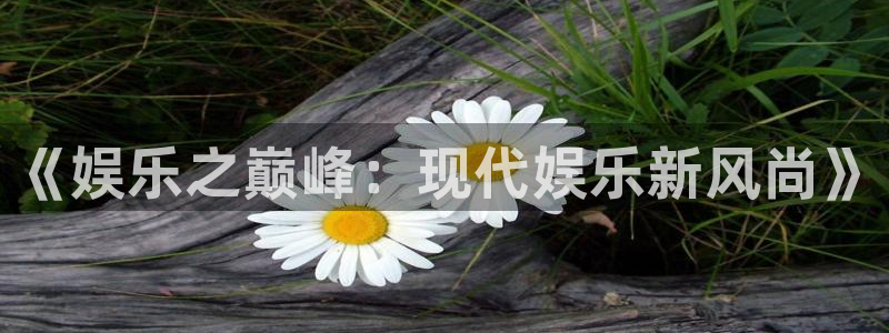 开丰娱乐官网地址：《娱乐之巅峰：现代娱乐新风尚》
