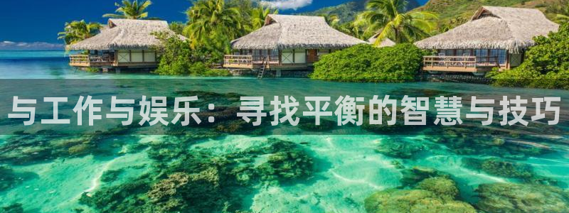 开丰娱乐注册：与工作与娱乐：寻找平衡的智慧与技巧
