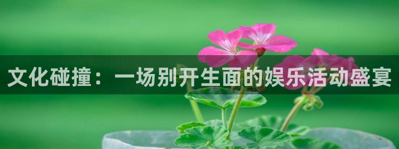 开丰娱乐注册入口与教程：文化碰撞：一场别开生面的娱乐活动盛宴