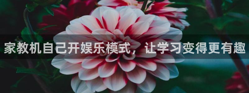 开丰娱乐网站平台：家教机自己开娱乐模式，让学习变得更有趣