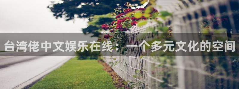 开丰娱乐是啥：台湾佬中文娱乐在线：一个多元文化的空间