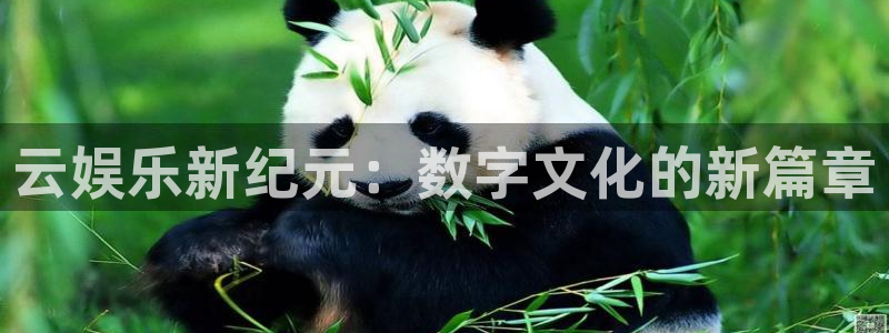 开丰娱乐官网入口：云娱乐新纪元：数字文化的新篇章