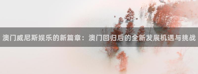 开丰娱乐分红代理计划：澳门威尼斯娱乐的新篇章：澳门回归后的全新发展机遇与挑战