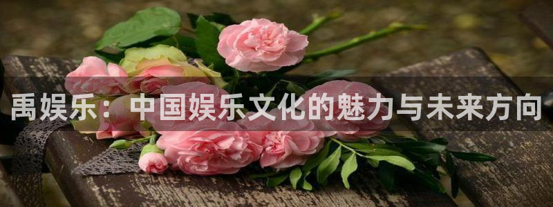 开丰娱乐电子游戏网页版：禹娱乐：中国娱乐文化的魅力与未来方向