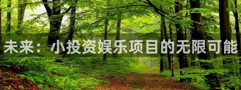 开丰娱乐4登录：未来：小投资娱乐项目的无限可能