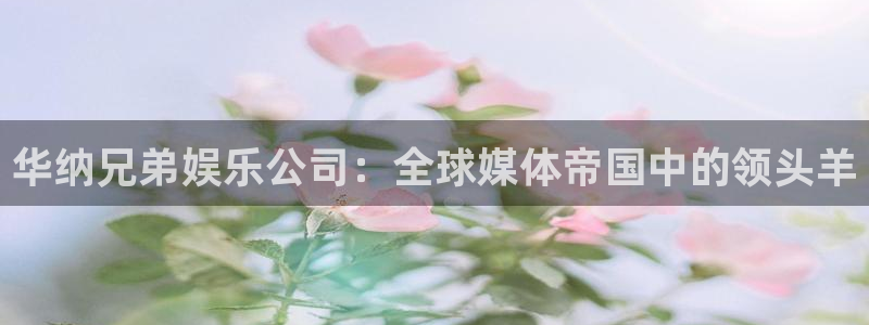 开丰娱乐平台官网版最新：华纳兄弟娱乐公司：全球媒体帝国中的领头羊