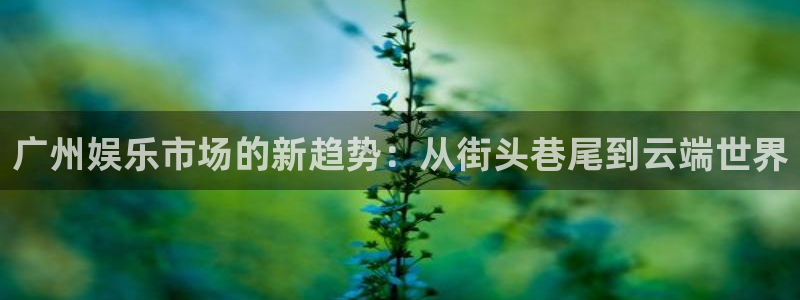 开丰娱乐体育免费注册入口：广州娱乐市场的新趋势：从街头巷尾到云端世界