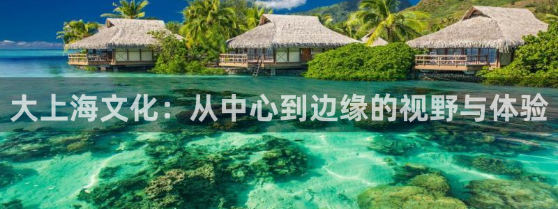 开丰娱乐游戏官网版：大上海文化：从中心到边缘的视野与体验