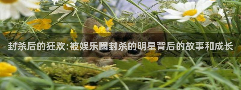 开丰娱乐平台官网：封杀后的狂欢:被娱乐圈封杀的明星背后的故事和成长
