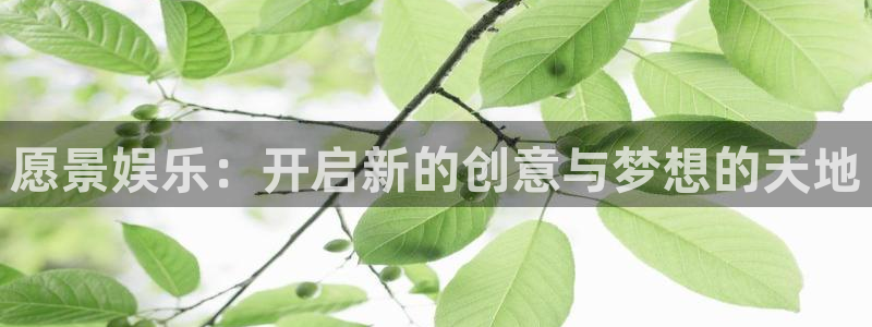 开丰娱乐注册入口与教程：愿景娱乐：开启新的创意与梦想的天地