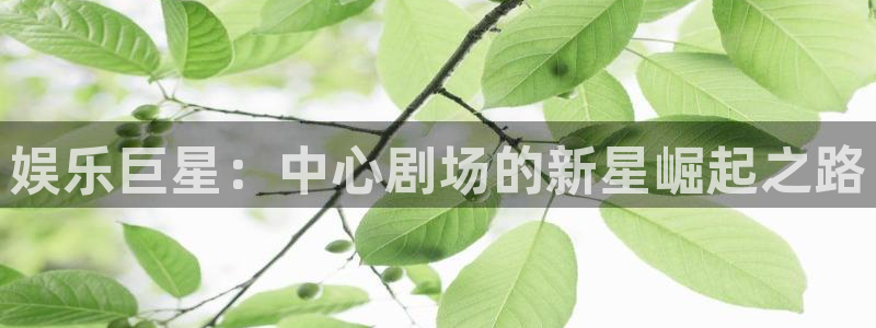 开丰娱乐登录注册：娱乐巨星：中心剧场的新星崛起之路