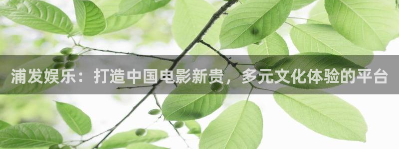 开丰娱乐账号注册入口：浦发娱乐：打造中国电影新贵，多元文化体验的平台