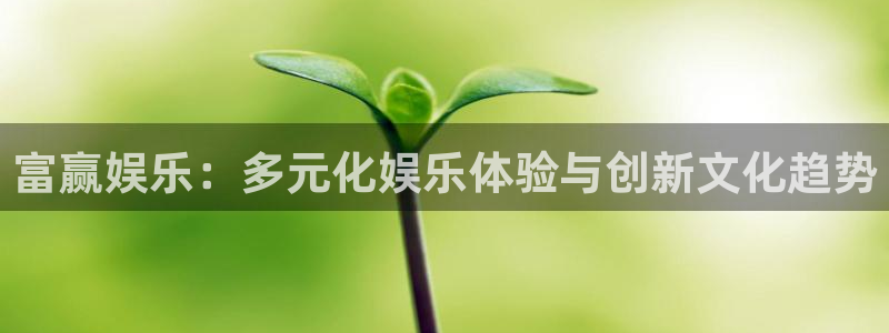 福建开丰娱乐机电股份公司：富赢娱乐：多元化娱乐体验与创新文化趋势
