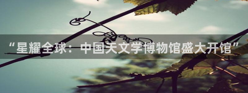 开丰娱乐是大平台吗：“星耀全球：中国天文学博物馆盛大开馆”