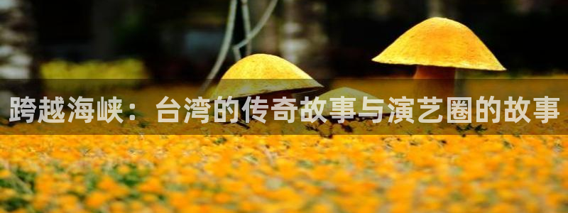 开丰娱乐3平台注册：跨越海峡：台湾的传奇故事与演艺圈的故事