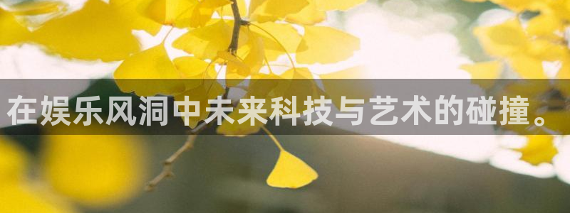 开丰娱乐平台注册：在娱乐风洞中未来科技与艺术的碰撞。