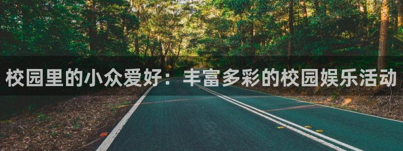 开丰娱乐4官网：校园里的小众爱好：丰富多彩的校园娱乐活动
