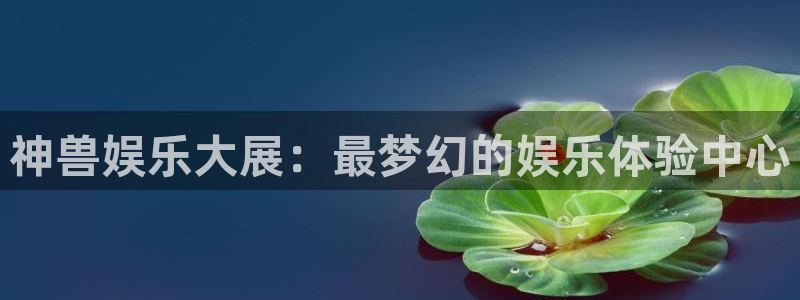 开丰娱乐是什么：神兽娱乐大展：最梦幻的娱乐体验中心