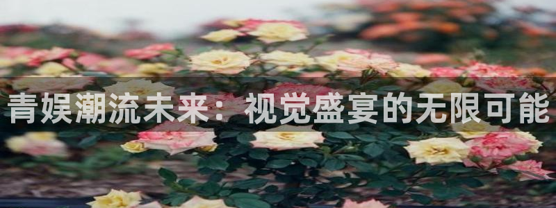 开丰娱乐体育官网注册：青娱潮流未来：视觉盛宴的无限可能
