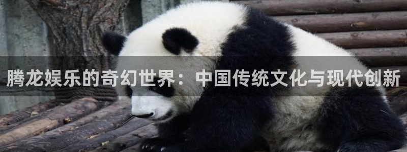 开丰娱乐平台官方入口下载：腾龙娱乐的奇幻世界：中国传统文化与现代创新