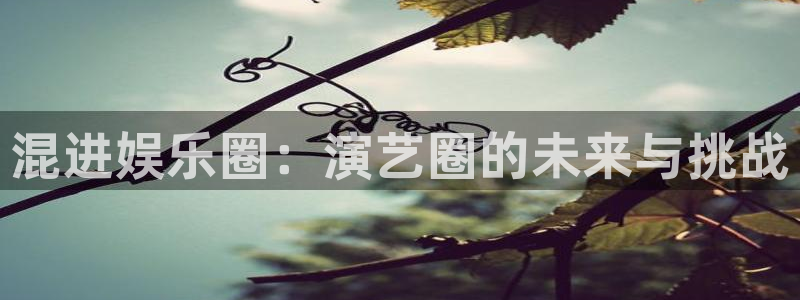 开丰娱乐平台在线开户：混进娱乐圈：演艺圈的未来与挑战