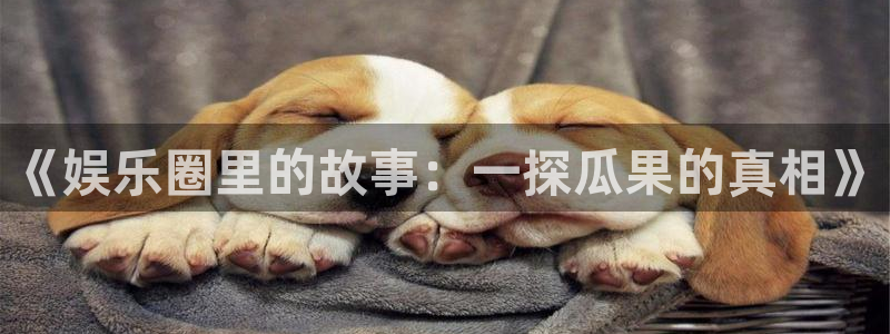 开丰娱乐游戏官网入口：《娱乐圈里的故事：一探瓜果的真相》